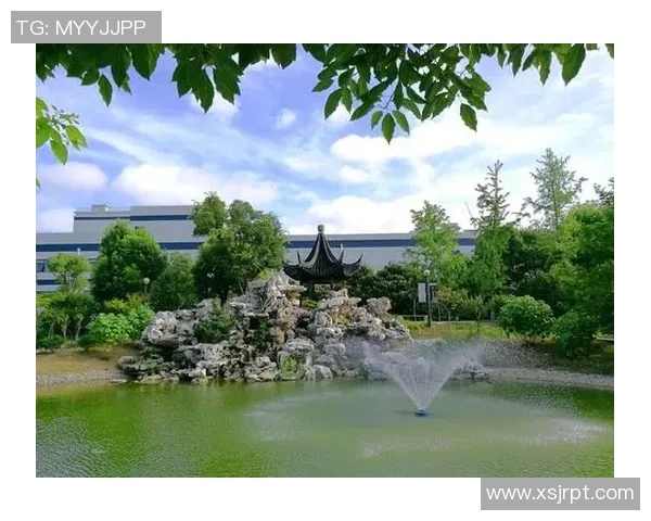 南京排球队的辉煌之路：从默默无闻到大师赛的荣耀时刻