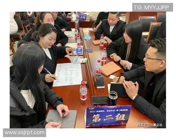 杭州排球队展现卓越团队协作精神大满贯点评分析其成功之道