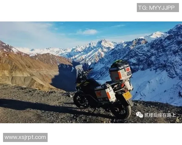 重庆篮球队的世界杯征程与突破之路全景回顾