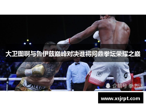 大卫图啊与鲁伊兹巅峰对决谁将问鼎拳坛荣耀之巅